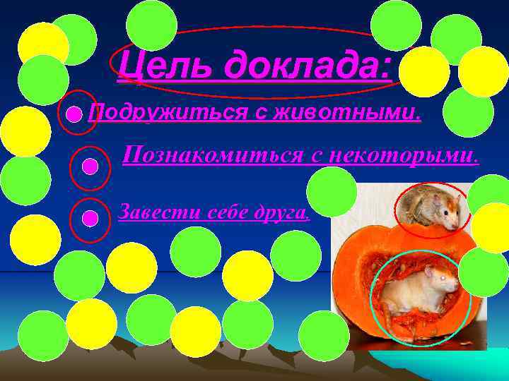 Цель доклада: Подружиться с животными. Познакомиться с некоторыми. Завести себе друга. 