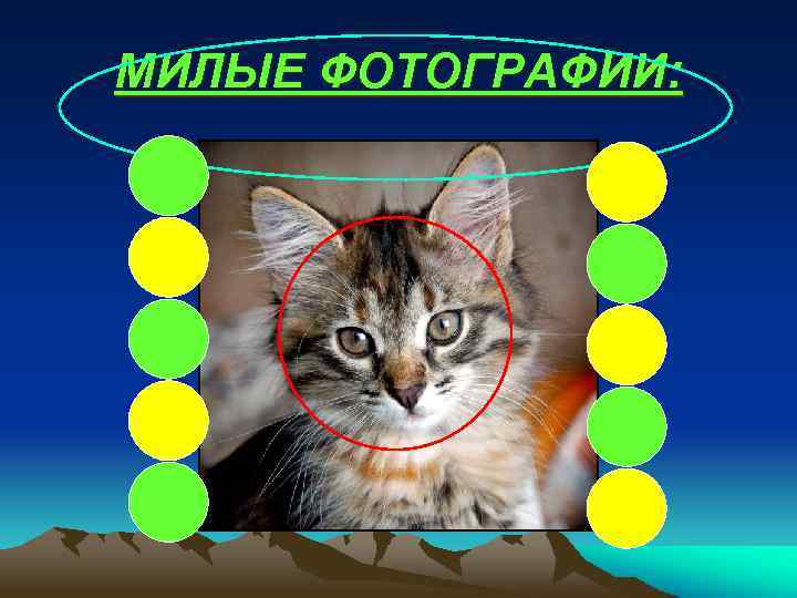 МИЛЫЕ ФОТОГРАФИИ: 