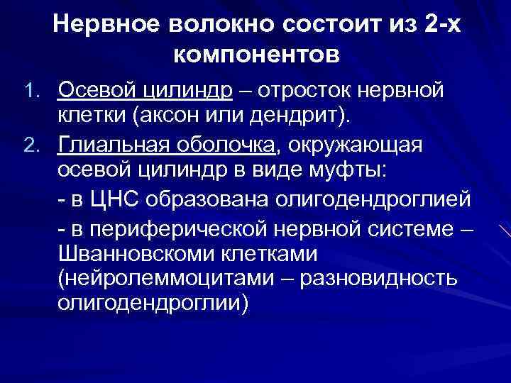 Нервное волокно состоит из 2 -х компонентов 1. Осевой цилиндр – отросток нервной клетки