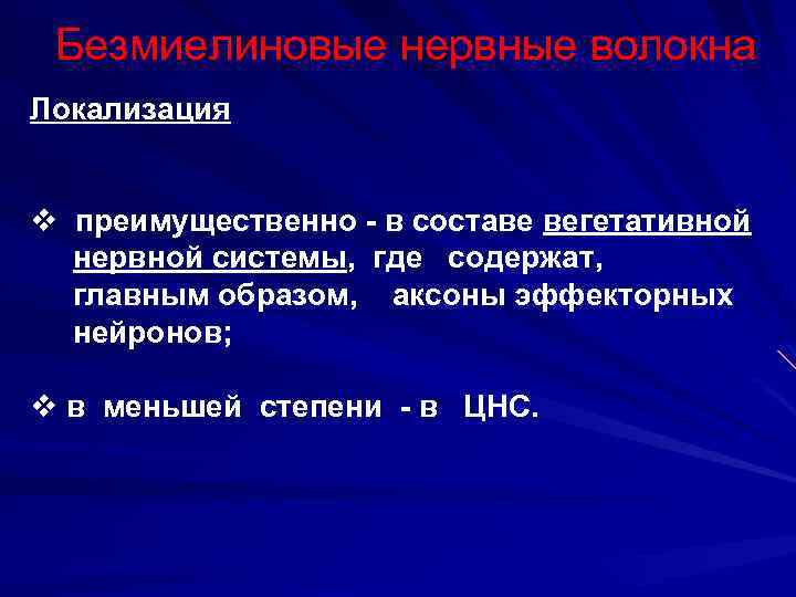 Безмиелиновые нервные волокна Локализация v преимущественно - в составе вегетативной нервной системы, где содержат,