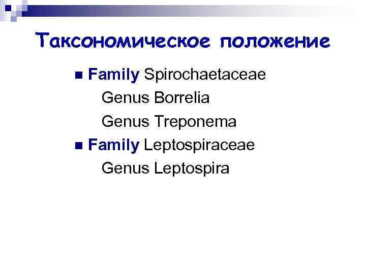 Таксономическое положение Family Spirochaetaceae Genus Borrelia Genus Treponema n Family Leptospiraceae Genus Leptospira n