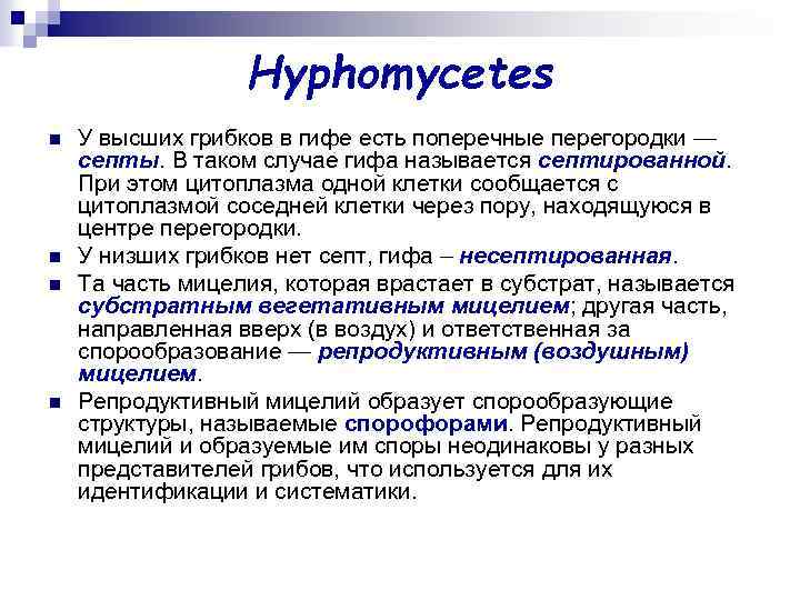 Hyphomycetes n n У высших грибков в гифе есть поперечные перегородки — септы. В