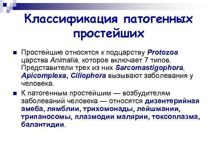 Классификация патогенных простейших n n Простейшие относятся к подцарству Protozoa царства Animalia, которое включает