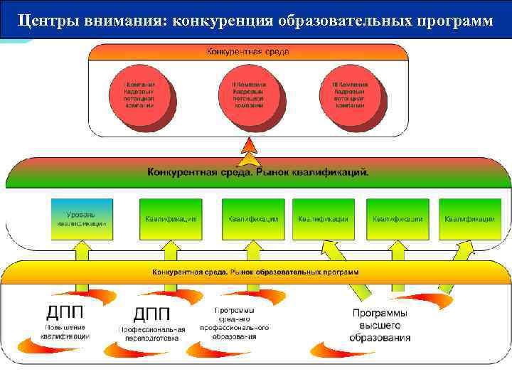 Центры внимания: конкуренция образовательных программ 