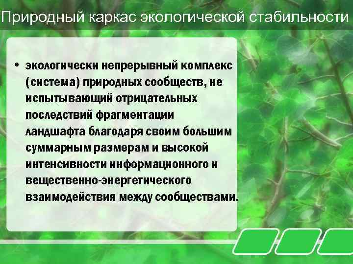 Природно экологический каркас. Экологический каркас. Элементы экологического каркаса. Структура экологического каркаса.