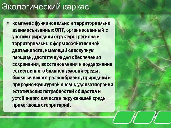 Экологический каркас • комплекс функционально и территориально взаимосвязанных ОПТ, организованный с учетом природной структуры