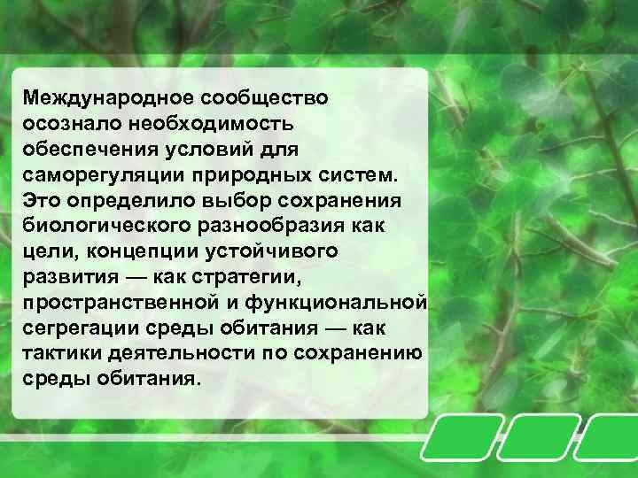Международное сообщество осознало необходимость обеспечения условий для саморегуляции природных систем. Это определило выбор сохранения