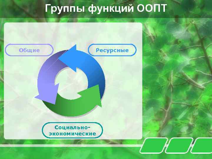 Группы функций ООПТ Общие Ресурсные Социальноэкономические 