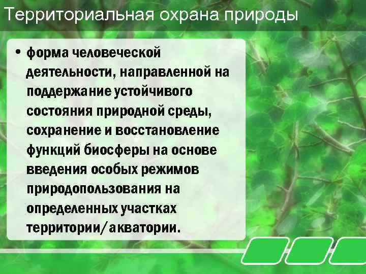 Статус охраны природных. Формы охраны природы. Территориальная охрана природы. Виды деятельности охраны природы.