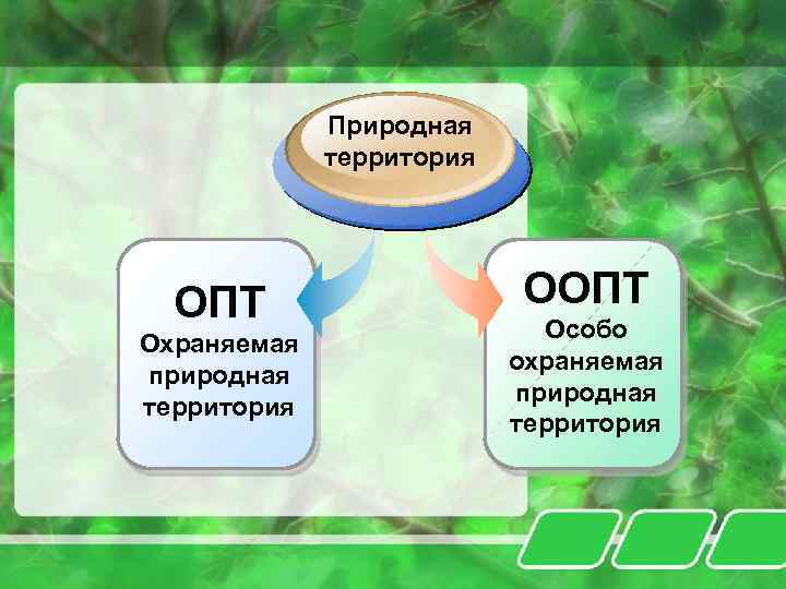 Природная территория ОПТ Охраняемая природная территория ООПТ Особо охраняемая природная территория 