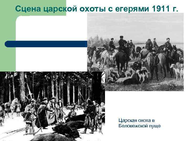 Сцена царской охоты с егерями 1911 г. Царская охота в Беловежской пуще 