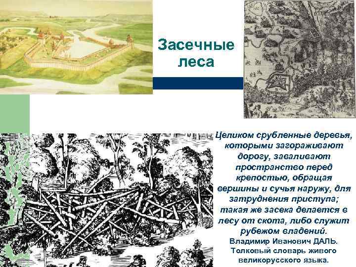 Засечные леса Целиком срубленные деревья, которыми загораживают дорогу, заваливают пространство перед крепостью, обращая вершины