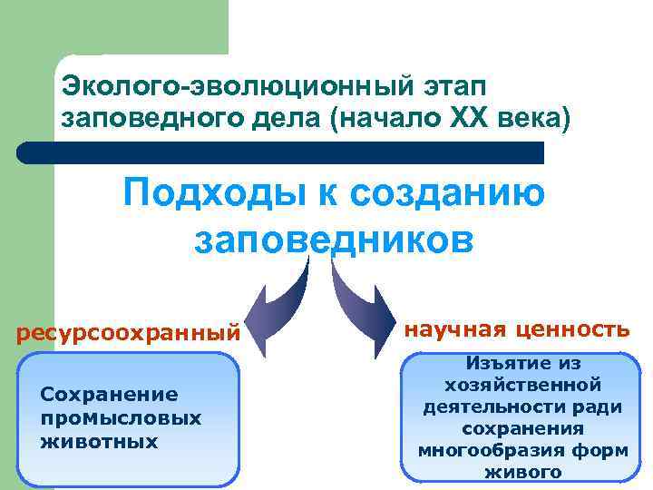 Деятельность ради деятельности. Эколого эволюционная теория. Теория заповедного дела. Эколого-эволюционный подход принципы. Места заповедного дела в системе наук.
