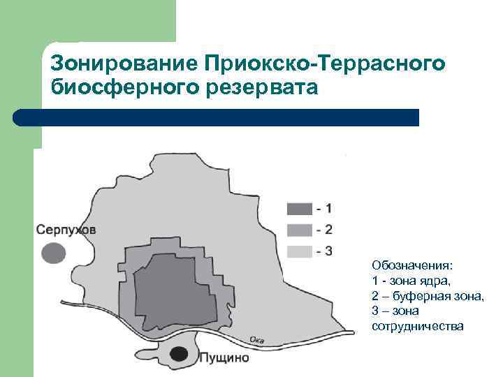 Зонирование Приокско-Террасного биосферного резервата Обозначения: 1 - зона ядра, 2 – буферная зона, 3