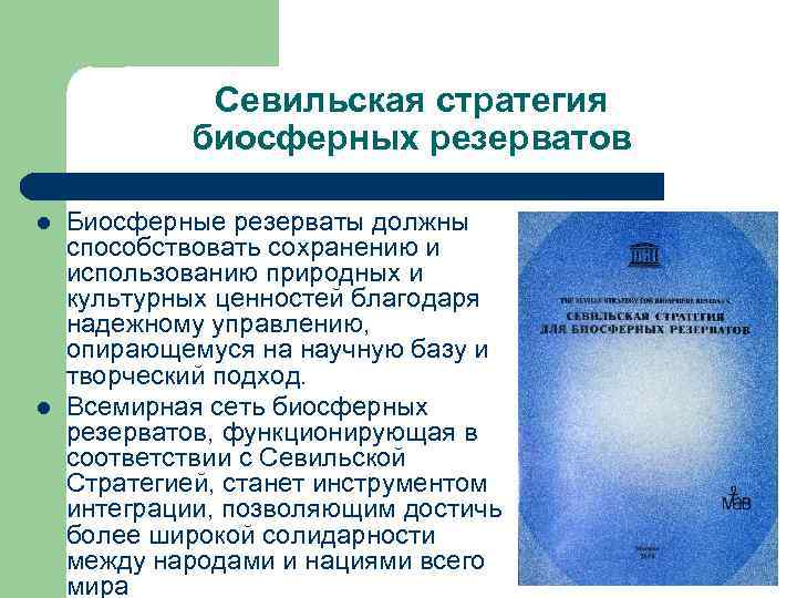 Севильская стратегия биосферных резерватов l l Биосферные резерваты должны способствовать сохранению и использованию природных