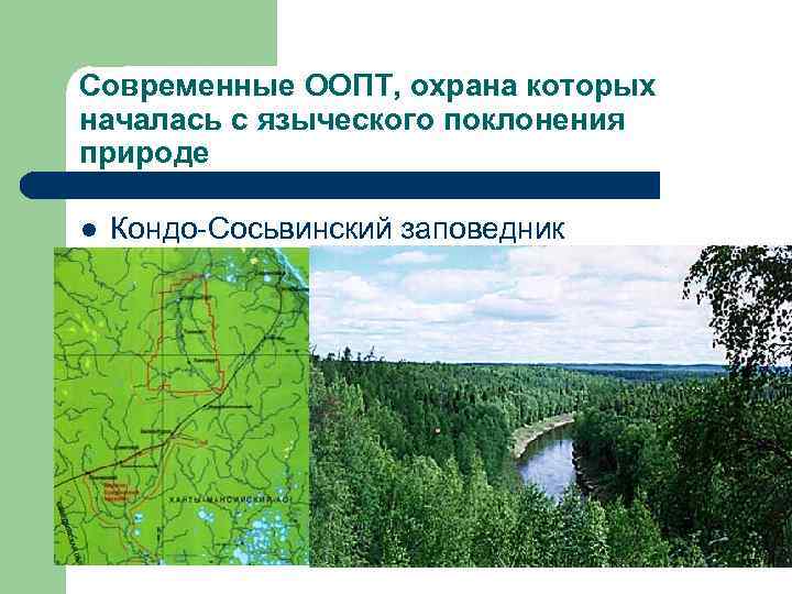 Современные ООПТ, охрана которых началась с языческого поклонения природе l Кондо-Сосьвинский заповедник 