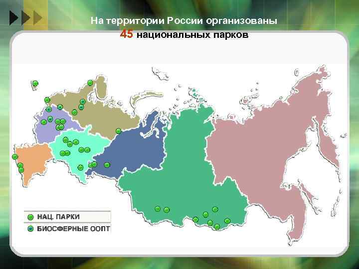 На территории России организованы 45 национальных парков 
