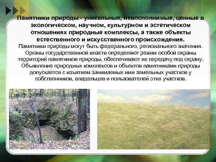 Памятники природы - уникальные, невосполнимые, ценные в экологическом, научном, культурном и эстетическом отношениях природные