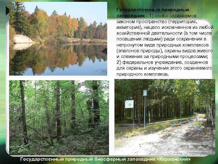 Государственный природный заповедник - 1) особо охраняемое законом пространство (территория, акватория), нацело исключенное из