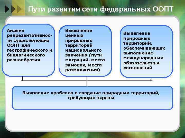 Пути развития сети федеральных ООПТ Анализ репрезентативности существующих ООПТ для географического и биологического разнообразия