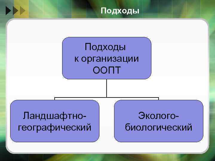 Подходы к организации ООПТ Ландшафтногеографический Экологобиологический 