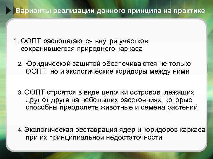 Варианты реализации данного принципа на практике 1. ООПТ располагаются внутри участков сохранившегося природного каркаса