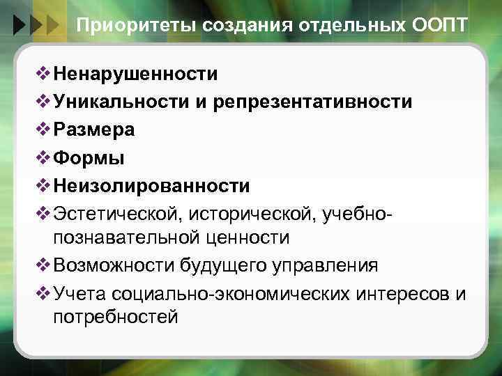 Приоритеты создания отдельных ООПТ v Ненарушенности v Уникальности и репрезентативности v Размера v Формы