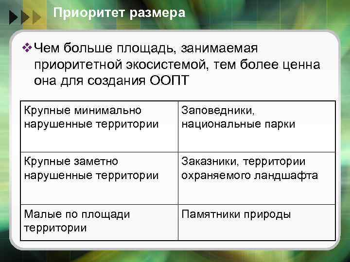 Приоритет размера v Чем больше площадь, занимаемая приоритетной экосистемой, тем более ценна она для