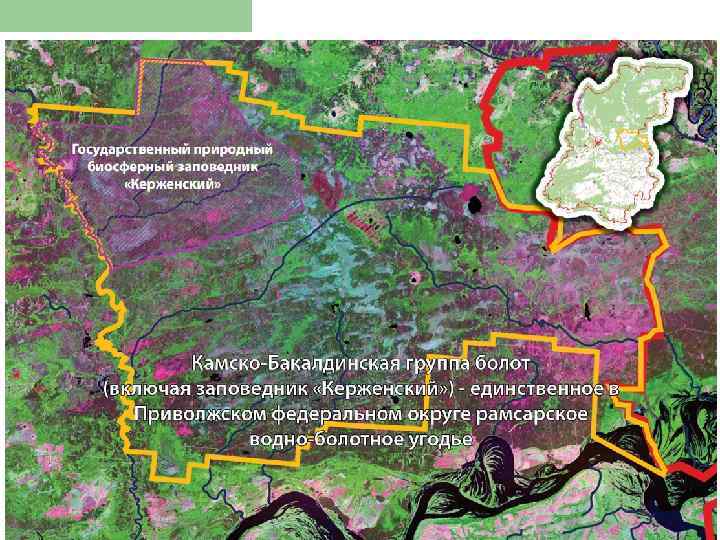 Керженский заповедник карта территории