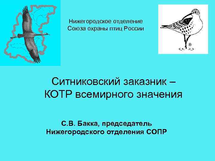 Нижегородское отделение Союза охраны птиц России Ситниковский заказник – КОТР всемирного значения С. В.