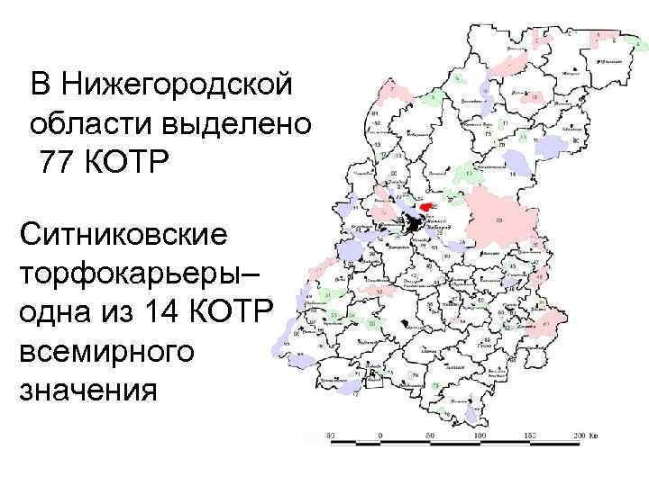 В Нижегородской области выделено 77 КОТР Ситниковские торфокарьеры– одна из 14 КОТР всемирного значения