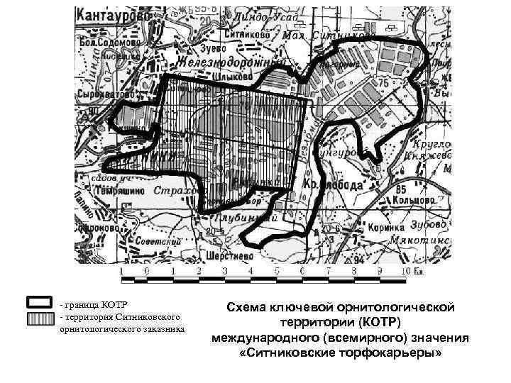 - граница КОТР - территория Ситниковского орнитологического заказника Схема ключевой орнитологической территории (КОТР) международного