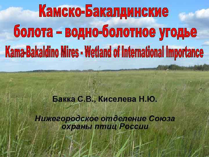 Бакка С. В. , Киселева Н. Ю. Нижегородское отделение Союза охраны птиц России 