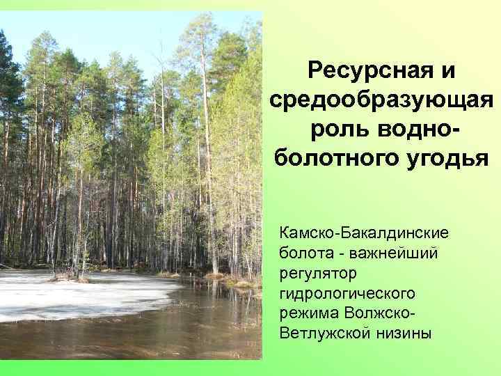 Ресурсная и средообразующая роль водноболотного угодья Камско-Бакалдинские болота - важнейший регулятор гидрологического режима Волжско.