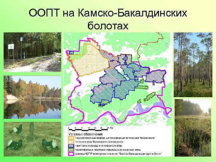 Карта оопт нижегородской области