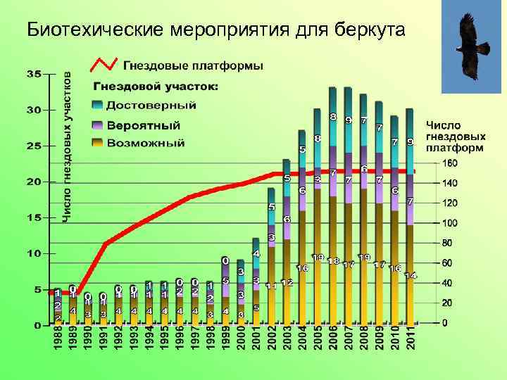 Биотехические мероприятия для беркута 