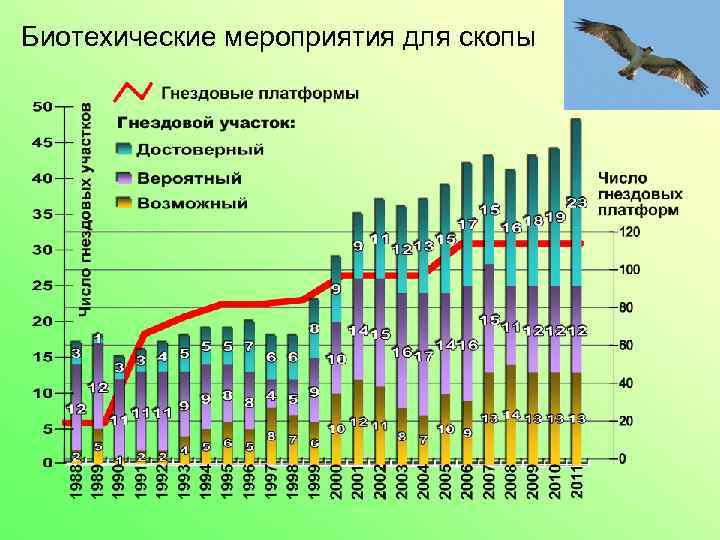 Биотехические мероприятия для скопы 