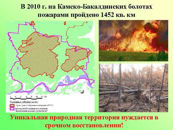 В 2010 г. на Камско-Бакалдинских болотах пожарами пройдено 1452 кв. км Уникальная природная территория