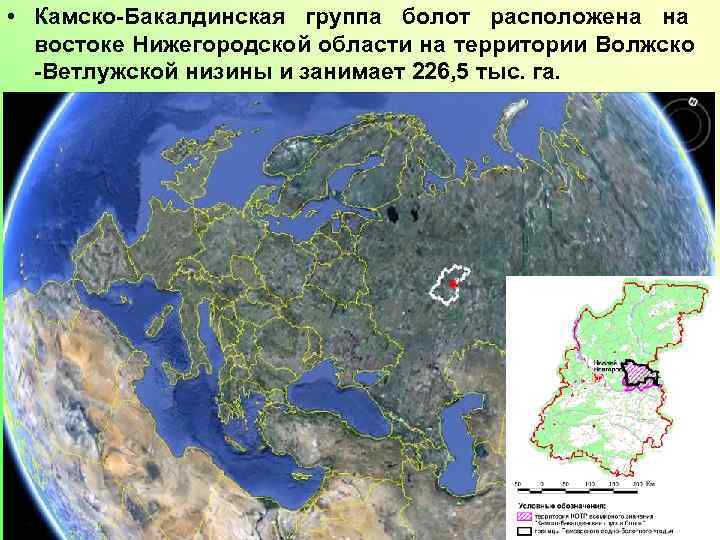  • Камско-Бакалдинская группа болот расположена на востоке Нижегородской области на территории Волжско -Ветлужской