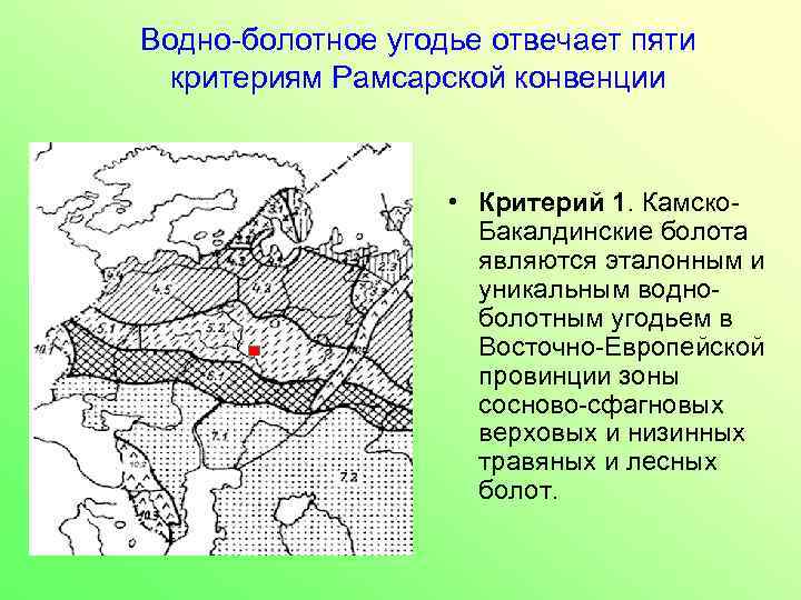 Водно-болотное угодье отвечает пяти критериям Рамсарской конвенции • Критерий 1. Камско. Бакалдинские болота являются