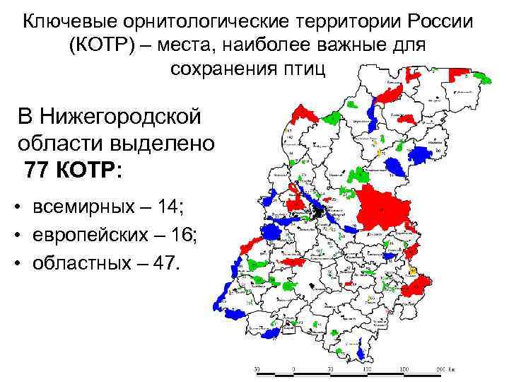 Ключевые орнитологические территории России (КОТР) – места, наиболее важные для сохранения птиц В Нижегородской
