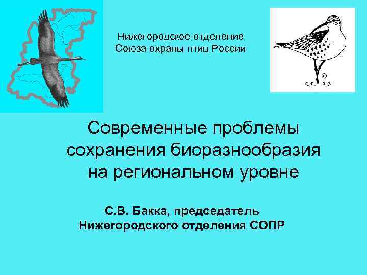 Нижегородское отделение Союза охраны птиц России Современные проблемы сохранения биоразнообразия на региональном уровне С.