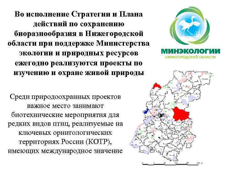 Во исполнение Стратегии и Плана действий по сохранению биоразнообразия в Нижегородской области при поддержке
