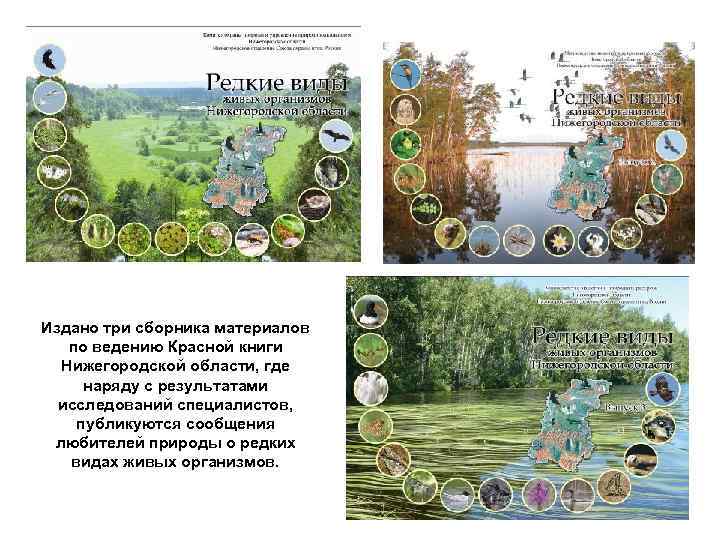 Издано три сборника материалов по ведению Красной книги Нижегородской области, где наряду с результатами