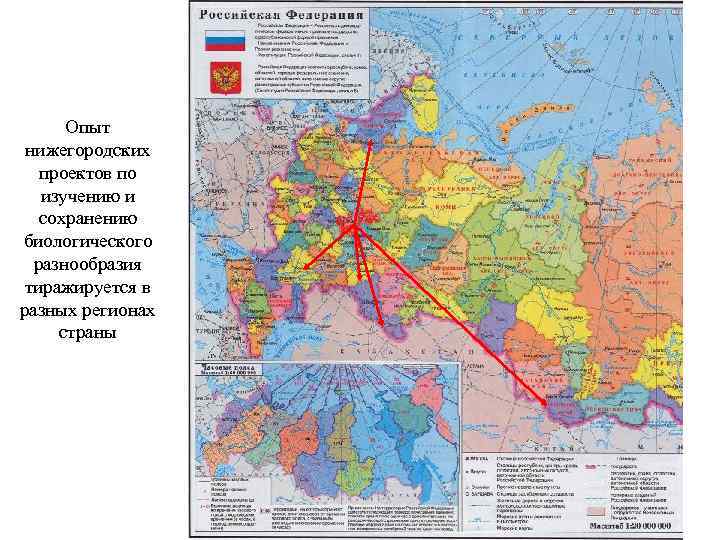 Опыт нижегородских проектов по изучению и сохранению биологического разнообразия тиражируется в разных регионах страны
