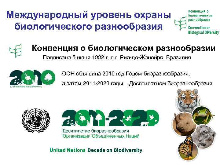 Международный уровень охраны биологического разнообразия Конвенция о биологическом разнообразии Подписана 5 июня 1992 г.