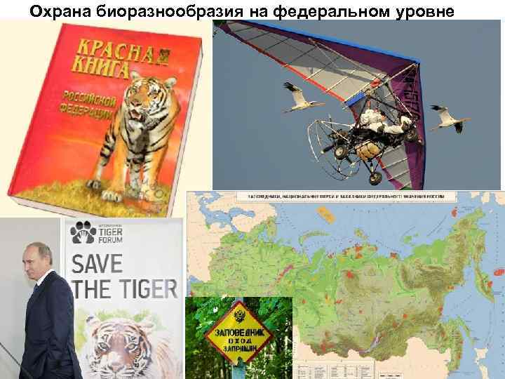 Охрана биоразнообразия на федеральном уровне 