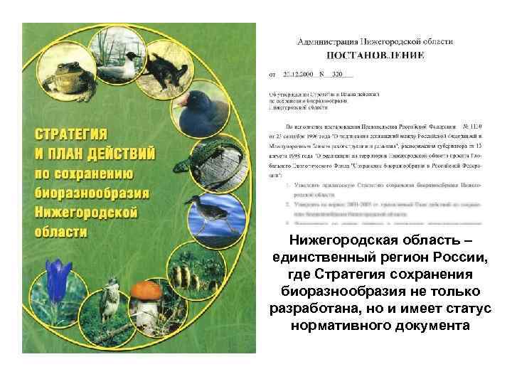 Нижегородская область – единственный регион России, где Стратегия сохранения биоразнообразия не только разработана, но