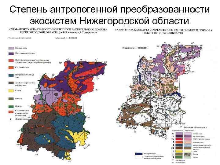 Степень антропогенной преобразованности экосистем Нижегородской области 