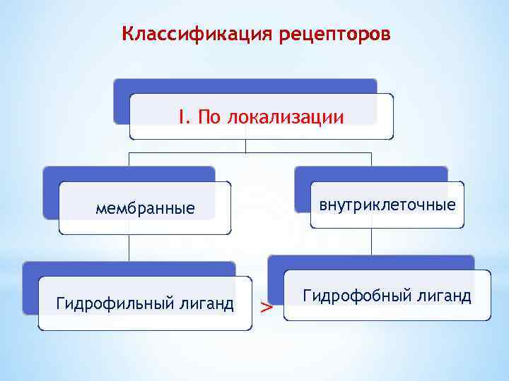 Классификация рецепторов I. По локализации мембранные внутриклеточные Гидрофильный лиганд Гидрофобный лиганд > 